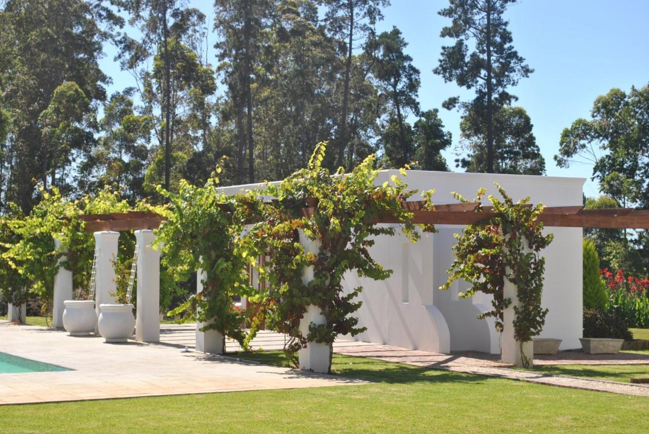 Lombard Villa Plettenberg Bay Exteriér fotografie